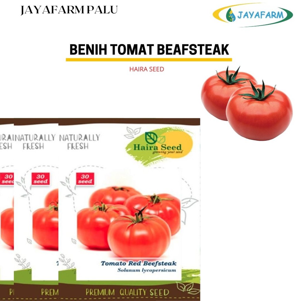 BENIH TOMAT BEEFSTEAK