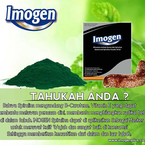 Imogen Gamat Dan Spirulina Original Indonesia