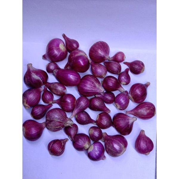 

Bawang merah besar 1kg