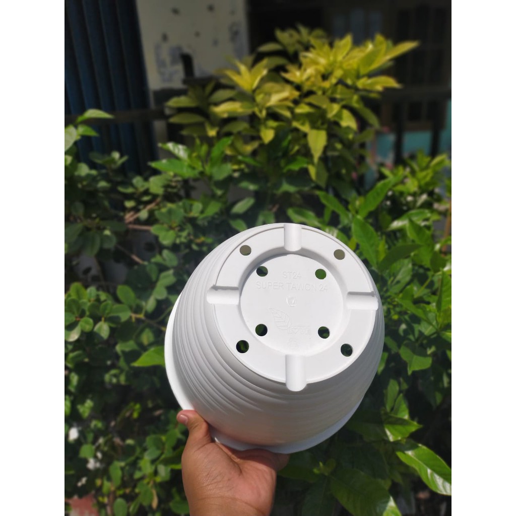 Pot Goccie 30 Putih 24cm Motif Tawon Pot Hias Bunga Plastik 24 Cm Mirip Tawon Pot Tanaman Aglonema