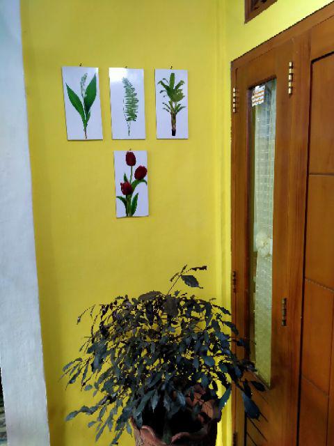 Fasahaya Hiasan Dinding Poster Kayu Leaf Dekorasi Rumah 15x30 Lf 28
