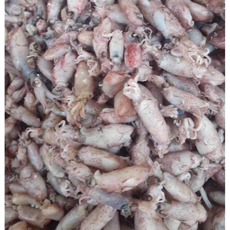 

Baby Cumi Asin/Rebus Size 0,5-4 500gr.