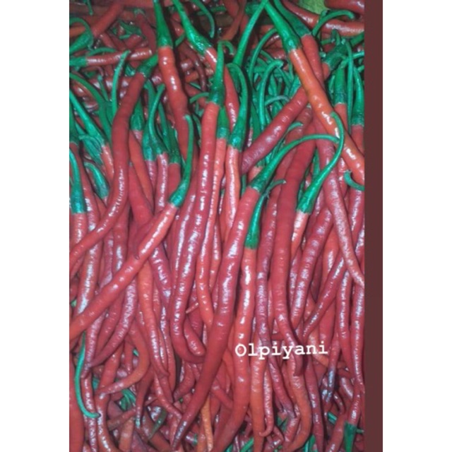 Cabe merah keriting 250gram