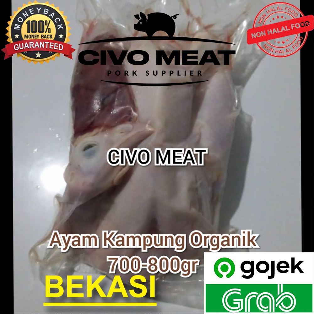 

Ayam Kampung ORGANIK 1ekor 700-800gr Frozen - Dijamin Bersih NO BULU