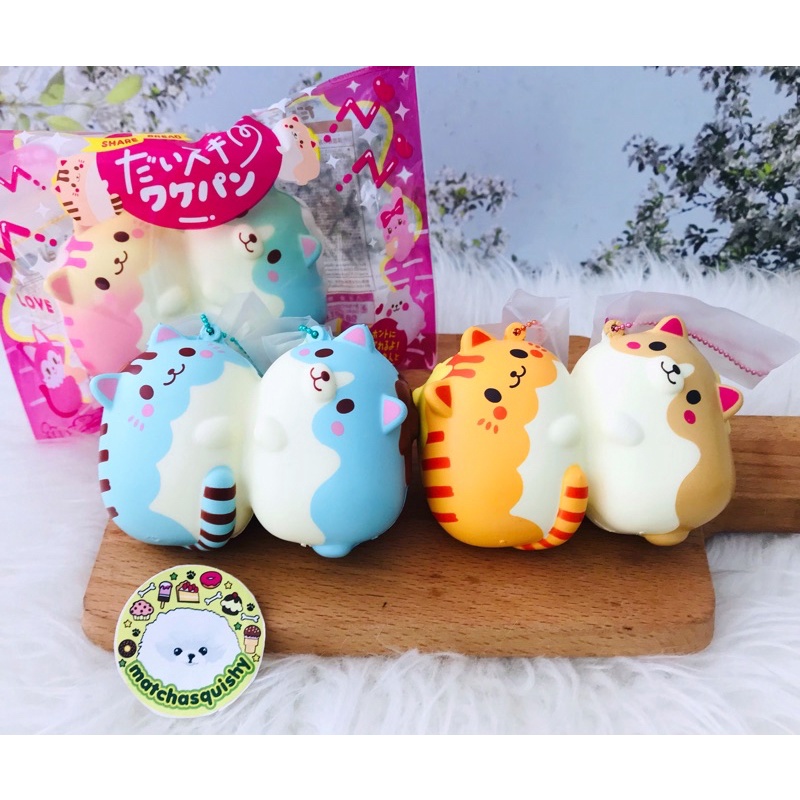 IBLOOM sharebread cat dog