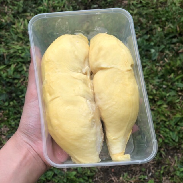 

(TERLARIS) Durian Monthong Palu / Durian Moutoung Parigi / Durian Grade AAA
