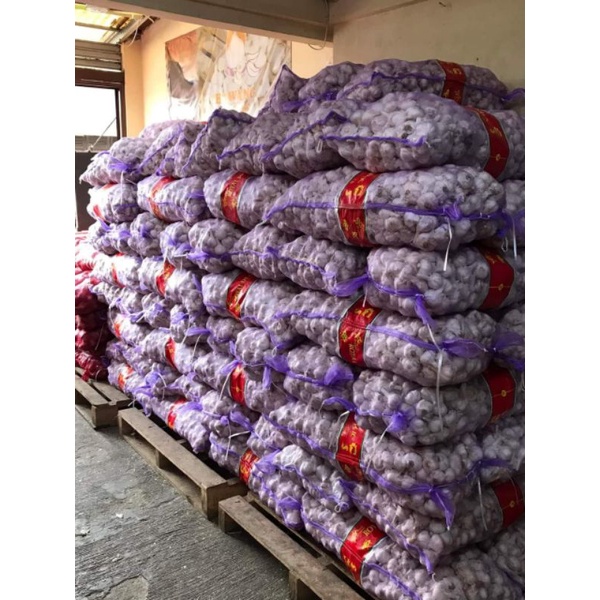 

BAWANG PUTIH KATING 20 KG