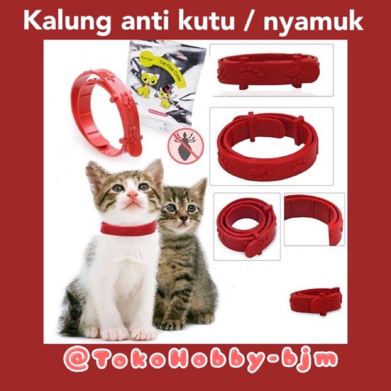 kalung kutu kucing - kalung anti kutu flea nyamuk untuk kucing anjing kelinci - obat kutu hewan