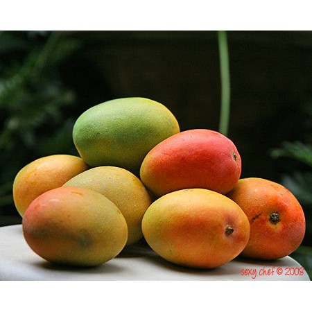 

Mangga Kopyor/Mangga Jawa Manis Segar 1 Kg