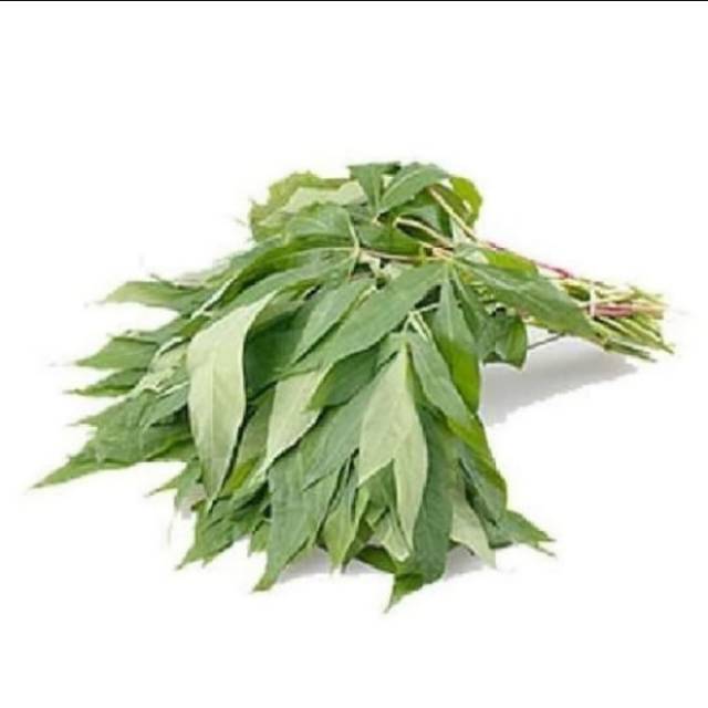 

Daun singkong per ikat