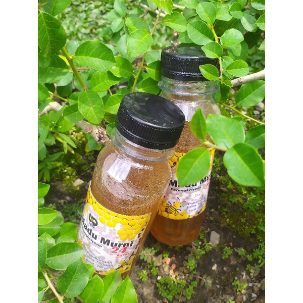 

MaduKuningMurni24karatDariPetungkriyonoUkuran200mllebih