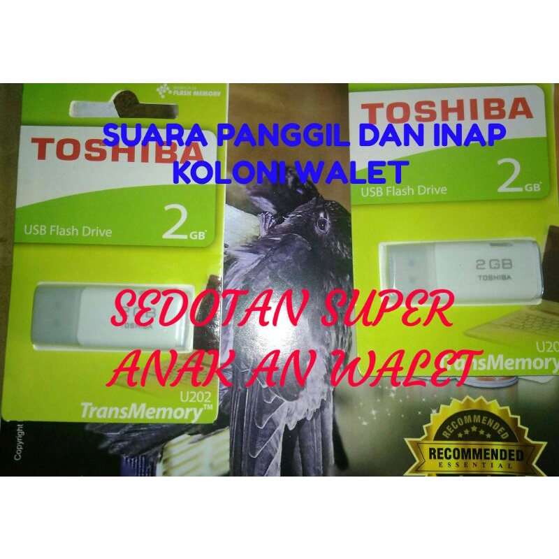 paket Suara walet TERBAIK Sp & si tripel w