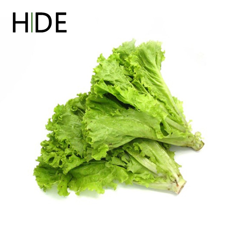 

( Hide ) Sayuran Segar - Selada Keriting 250 gr