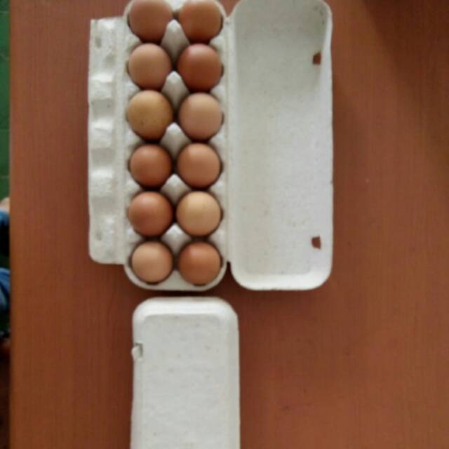 Egg box karton 12