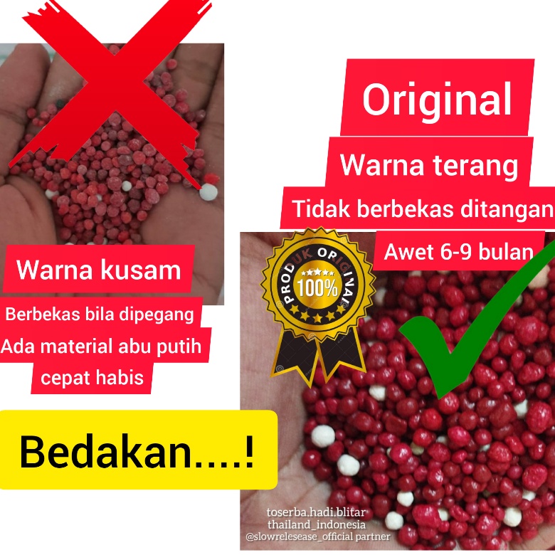 pupuk slow release 19 10 13, Pupuk SR, pupuk aglonema, metan aglonema, pupuk dekastar,osmocote