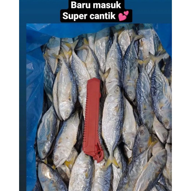 

aso aso asin / peda isi 500 gram
