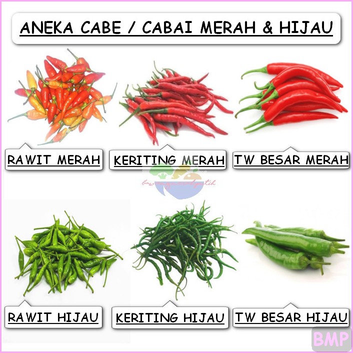 

CABE CABAI MERAH HIJAU KERITING RAWIT TW BESAR MERAH HIJAU SETAN 1 1KG