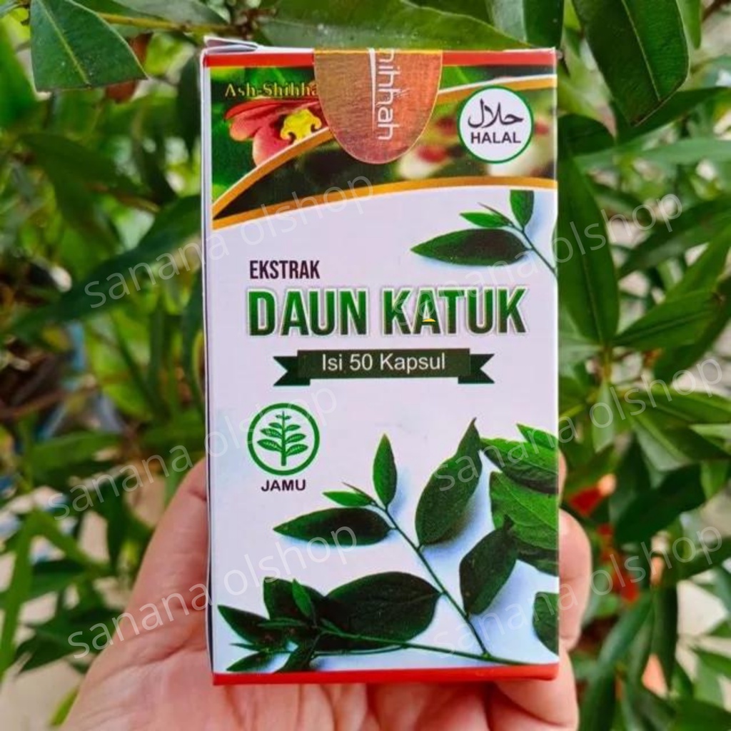 Kapsul extrac Daun katuk | Kapsul Daun Katuk | Pelancar Asi / Asi Booster / Katuk / booster asi
