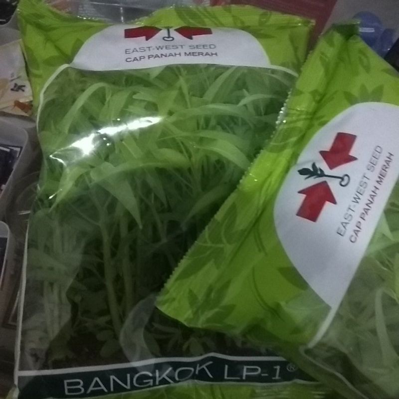 Benih kangkung Bangkok cap panah merah
