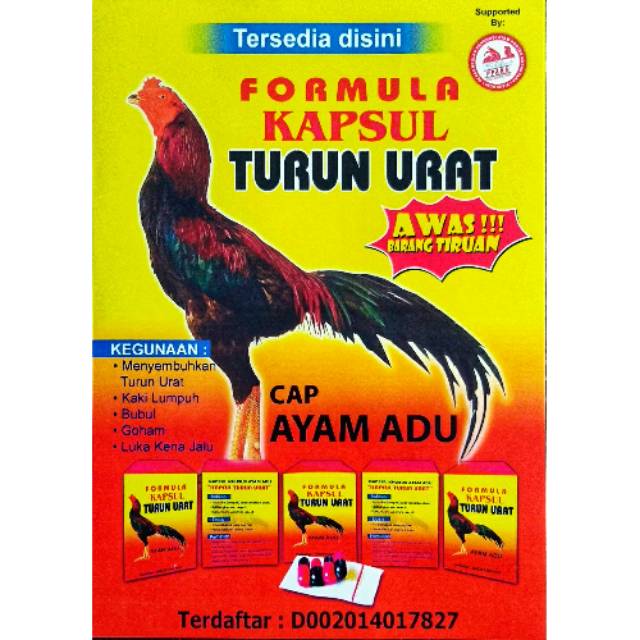 KAPSUL TURUN URAT    (cap ayam adu) | Shopee Indonesia