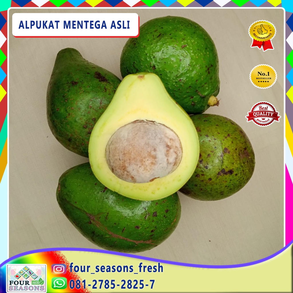 

BUAH ALPUKAT MENTEGA JUMBO LEZAT BERGIZI