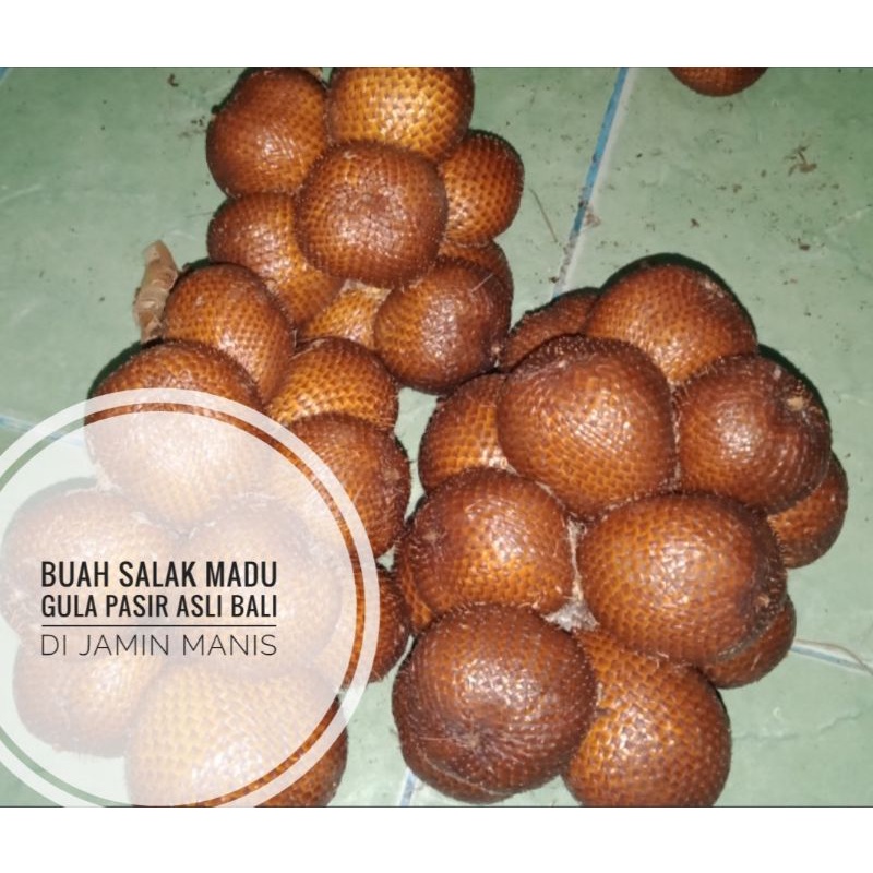 

BUAH SALAK MADU GULA PASIR ASLI BALI