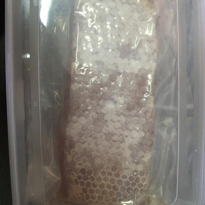 

Madu Sarang
