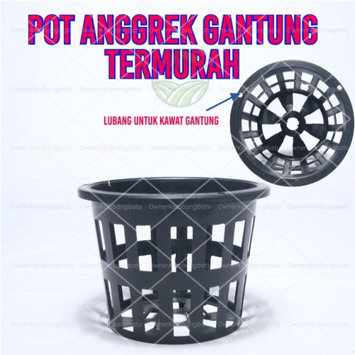 Pot Anggrek 12 Cm | Pot Hidroponik Tanaman Hias dan Bunga | Pot Plastik | Pot Anggrek M-12