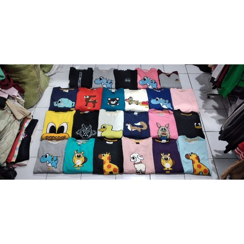 Borongan Pancoat