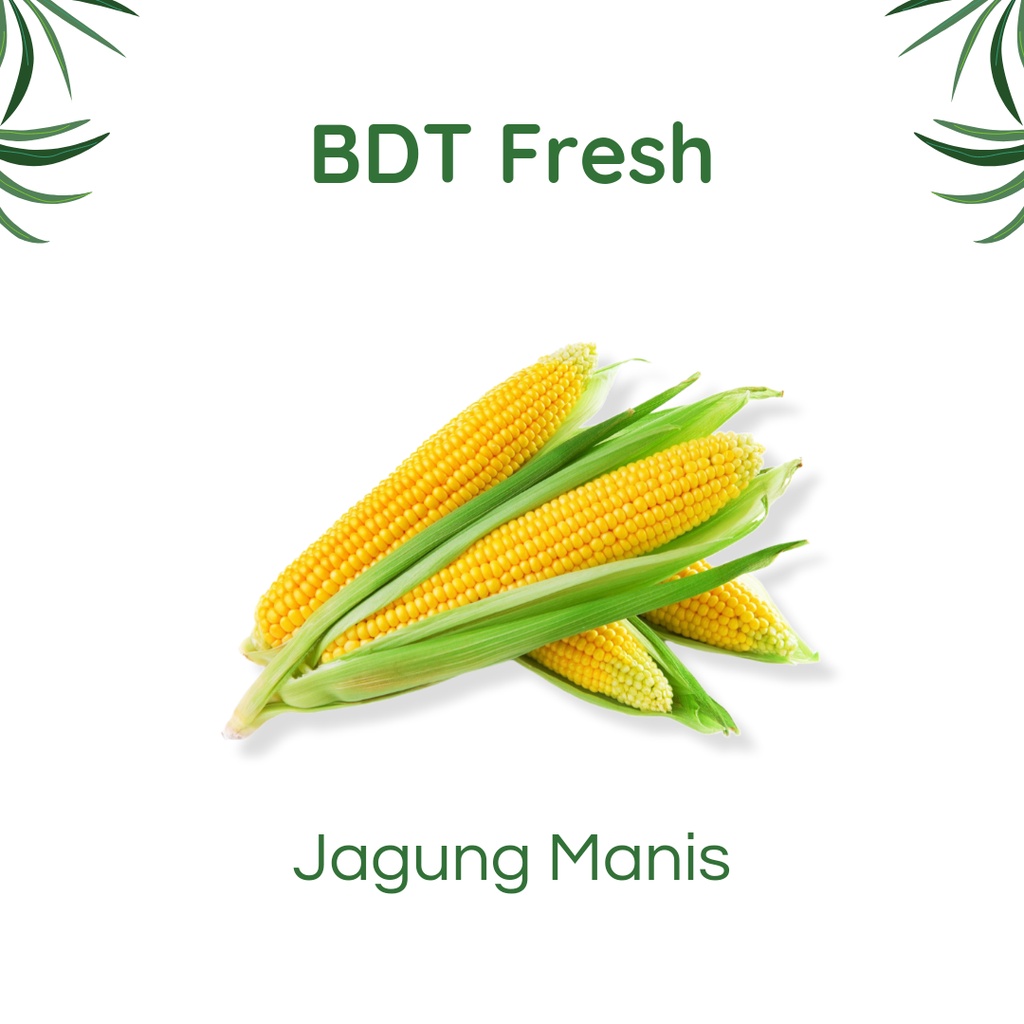 

Jagung Manis Kulit 600 - 800g