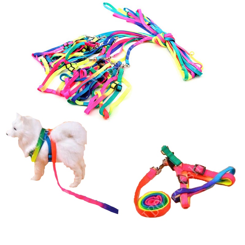 Anjing memimpin Harness Adjustable Breakaway Rainbow Nylon Kelinci Kecil Kucing tali kerah breast-band