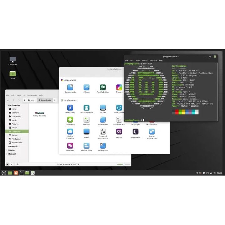 Linux Mint 21 LTS Vanessa USB FLASHDISK