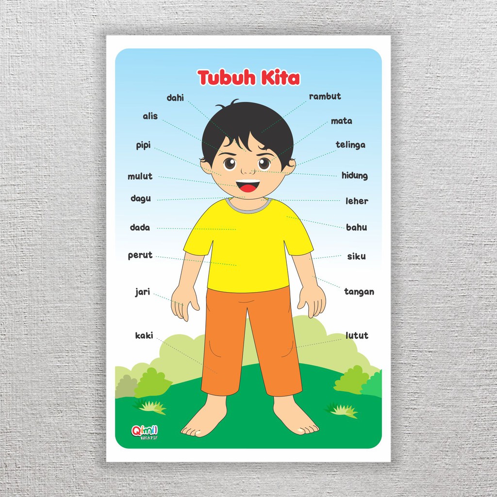 Jual Poster belajar anak TK / PAUD Mengenal Anggota Tubuh/ mainan ...