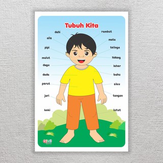 Download 480 Gambar Edukasi Untuk Anak Tk Terbaik 