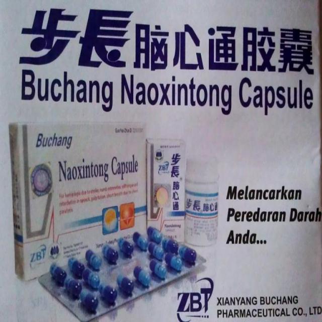 Obat Stroke Buchang Naoxintong Memulihkan Dan Mencegah Stroke