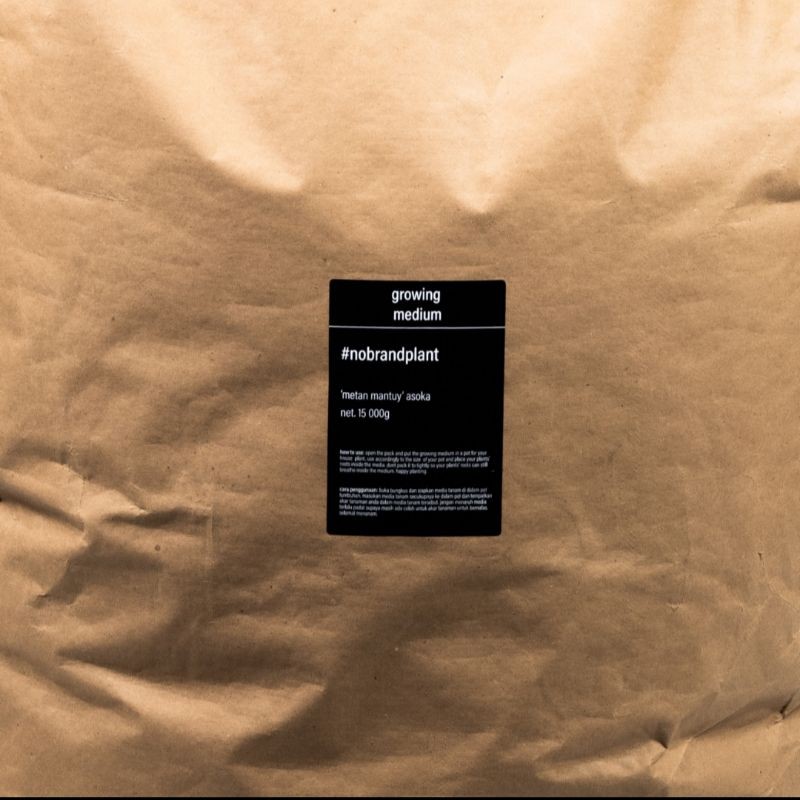 Metan Mantuy fufufu Asoka #nobrandplant