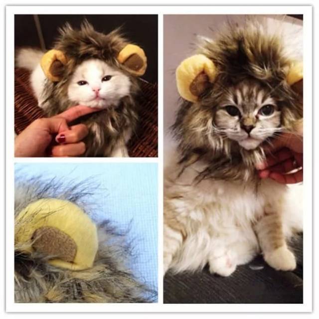 Wig Kucing &amp; Anjing Topi Singa - Baju Rambut Lion - Aksesoris Hewan