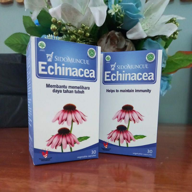 Echinacea 500mg Sidomuncul Herbal Echinacea Antibiotik Herbal 30 Kapsul Menjaga Imun Daya Tubuh