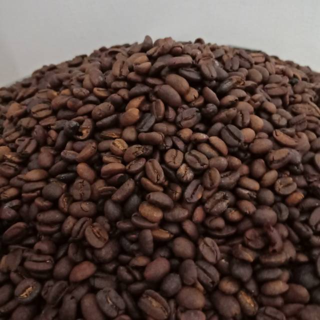 

Kopi Biji Sangrai Robusta Bengkulu 500gr