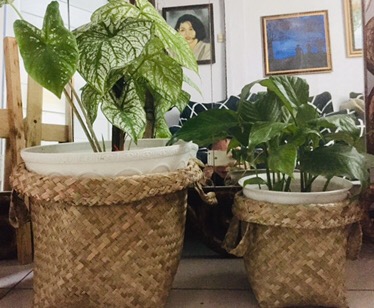 Keranjang Tanaman Ukuran 20 Cm