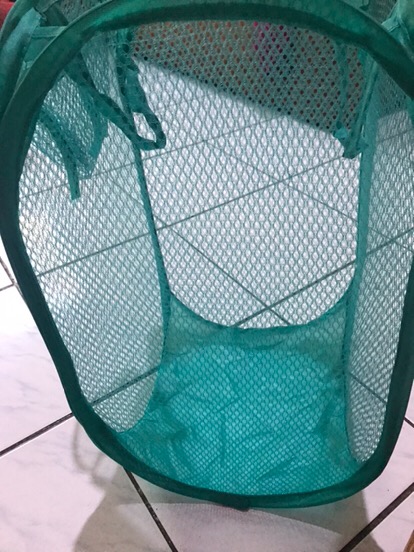 Teapot Set Gelas Mini Imut Teh Dan Kopi Tea Pot 4 Gelas 1 Teko Cantik