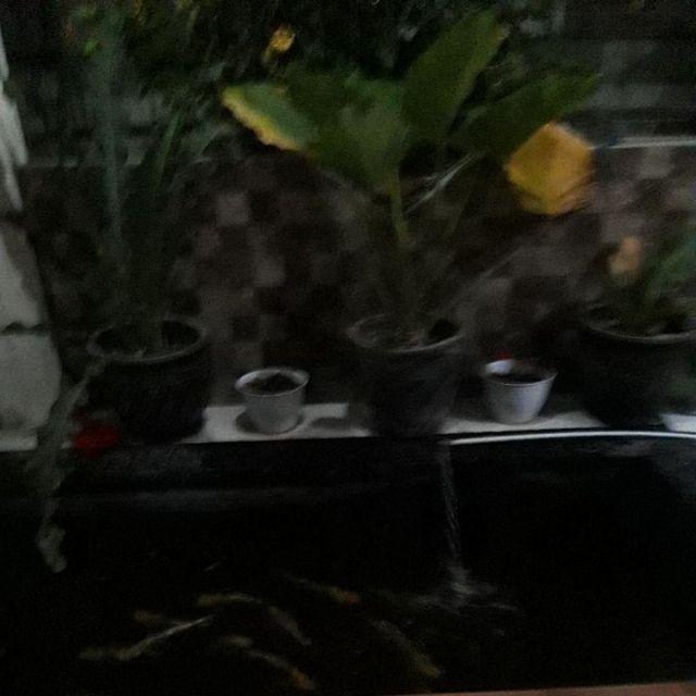 Shopashopsolo Batik Couple 2767 Amalia Brukat Tille Mutiara