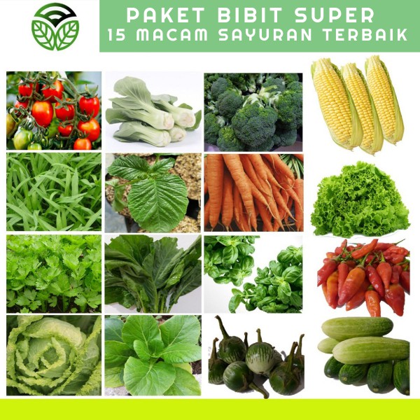 Bibit Sayuran 15 Macam, Bibit Sayur, Benih Sayuran, Bibit ...