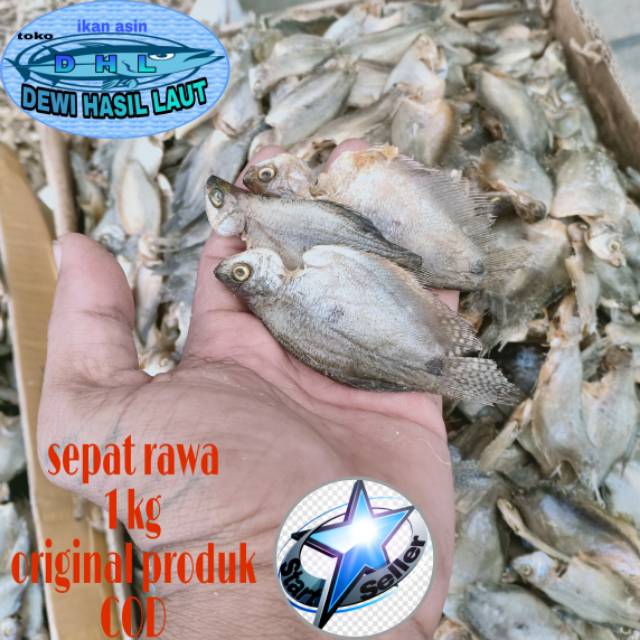 

Sepat rawa/sepat kecil 1 kg