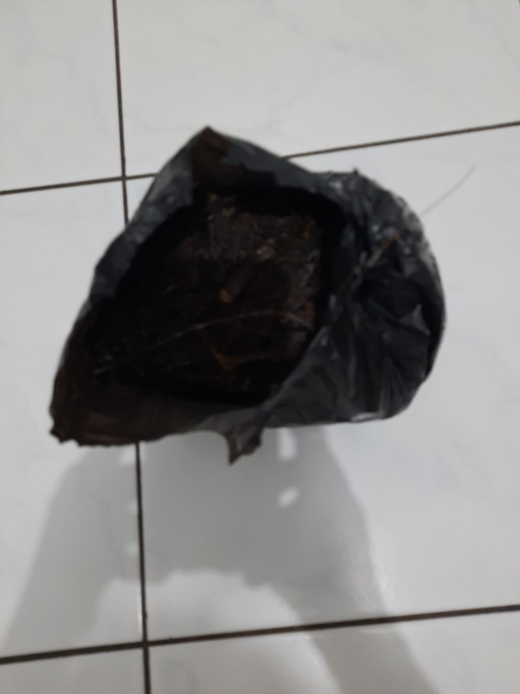 Kaliandra Media Tanam Anggrek