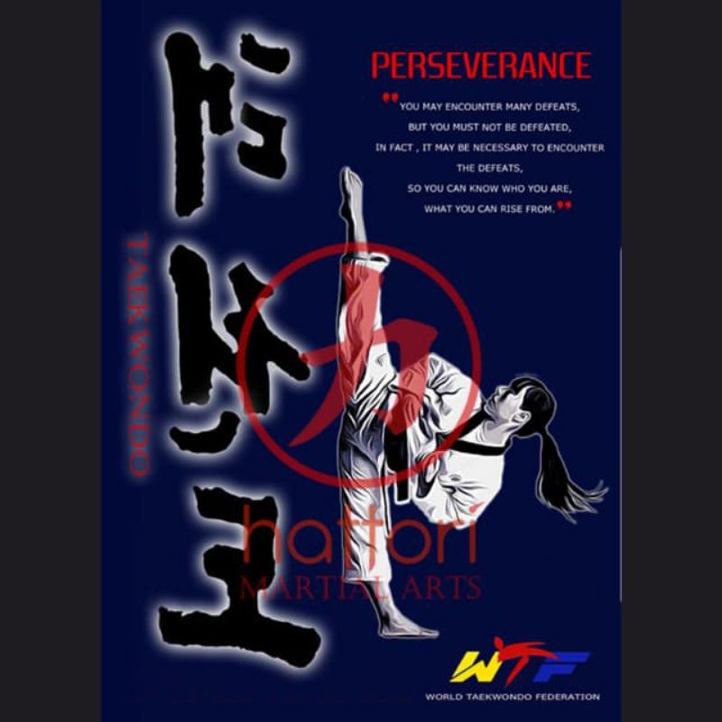 PosterTaekwondo