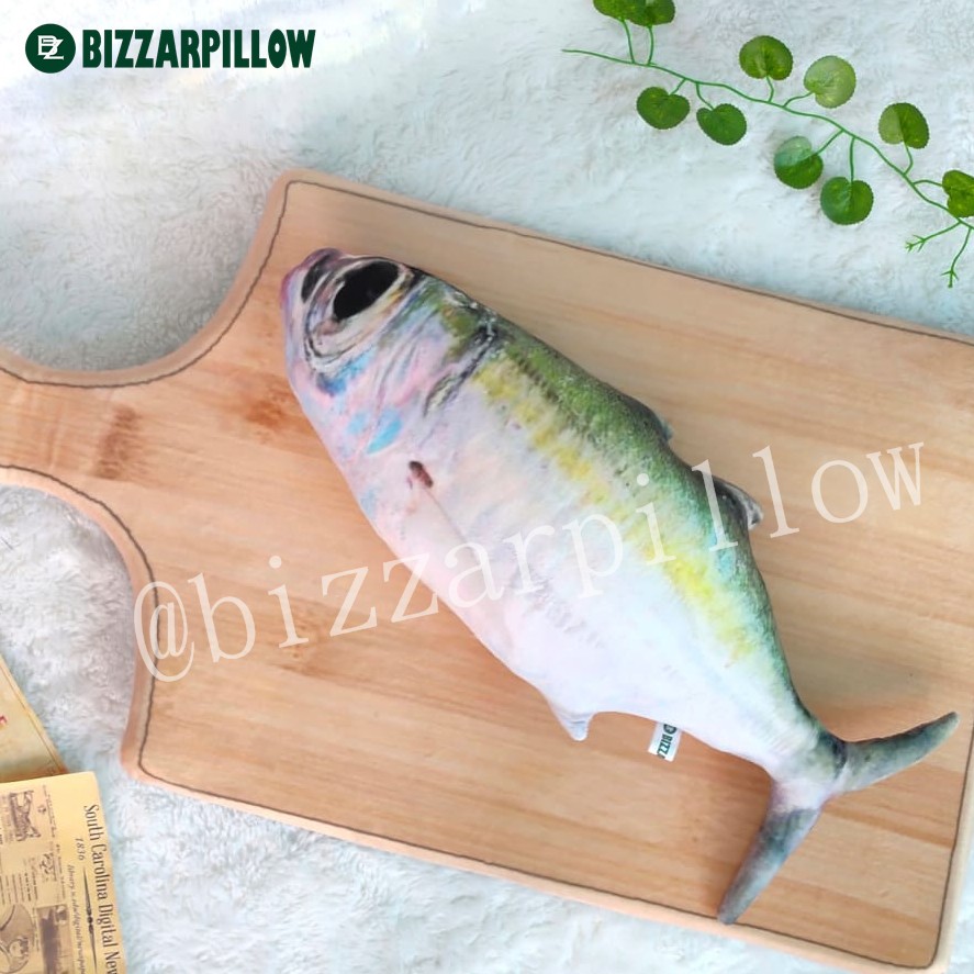 Bizzarpillow Bantal Ikan Asin Size M BZ070