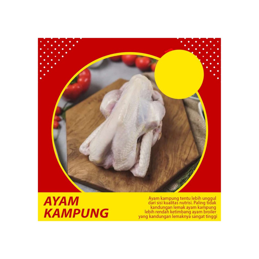 

AYAM KAMPUNG