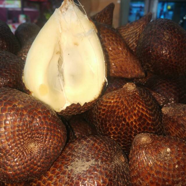 

SALAK PONDOH