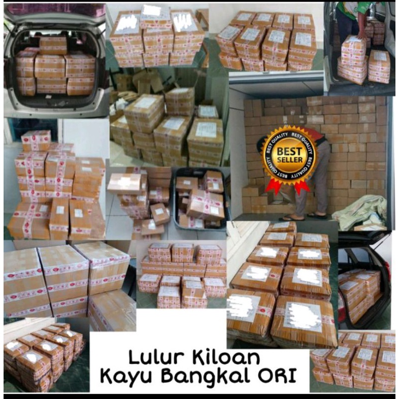 LULUR K.BANGKAL 500g MEMUTIHKAN